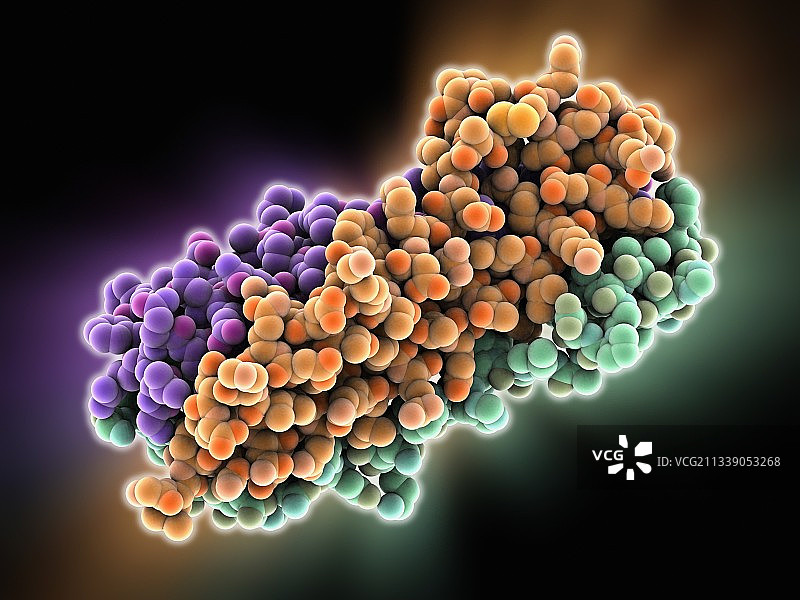 埃博拉病毒糖蛋白图片素材
