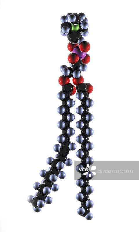 磷脂分子艺术图图片素材