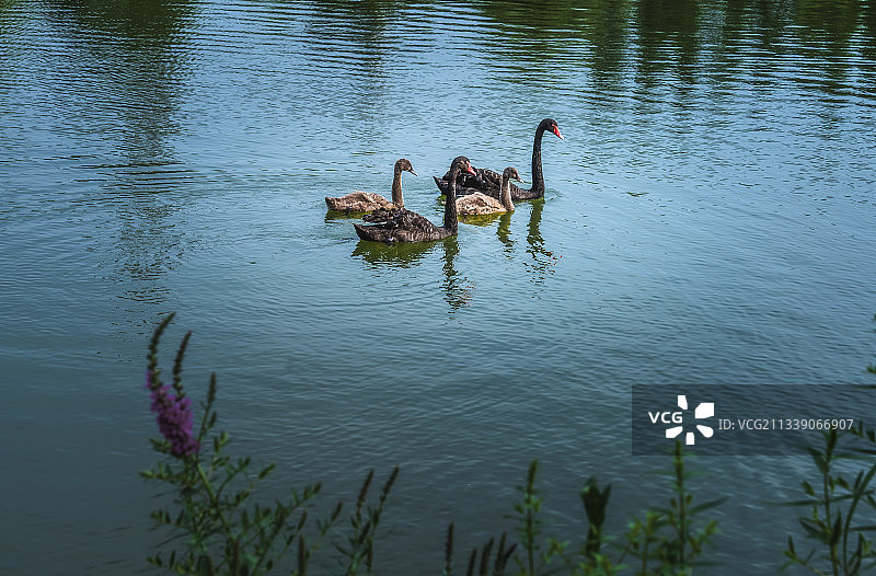江苏南通濠河风光图片素材
