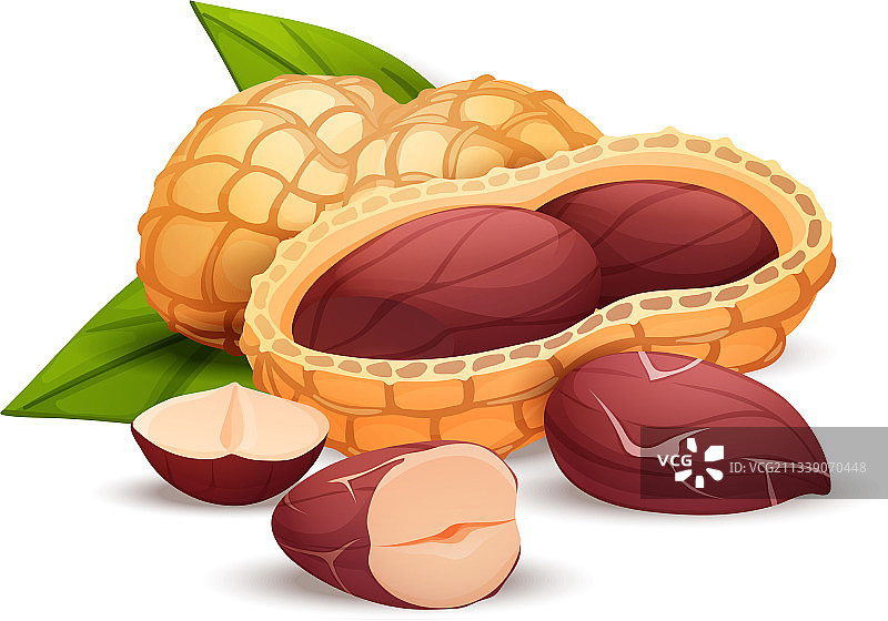 卡通花生侧视图图片素材