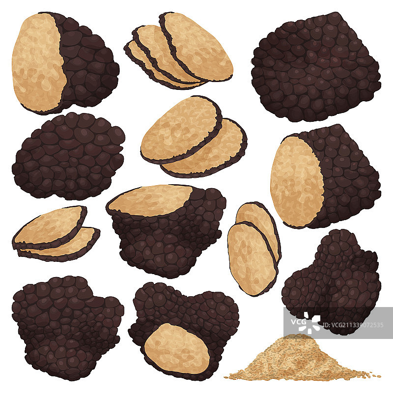 白色背景上的松露图片素材