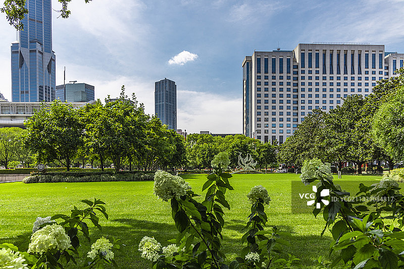 上海人民公园在晴朗的夏天的美景图片素材