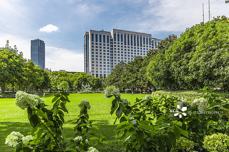 上海人民公园在晴朗的夏天的美景图片素材