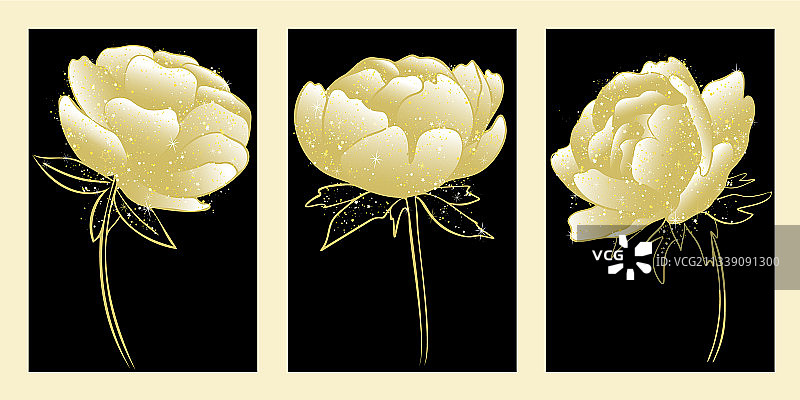 黑色背景金色牡丹花套装图片素材