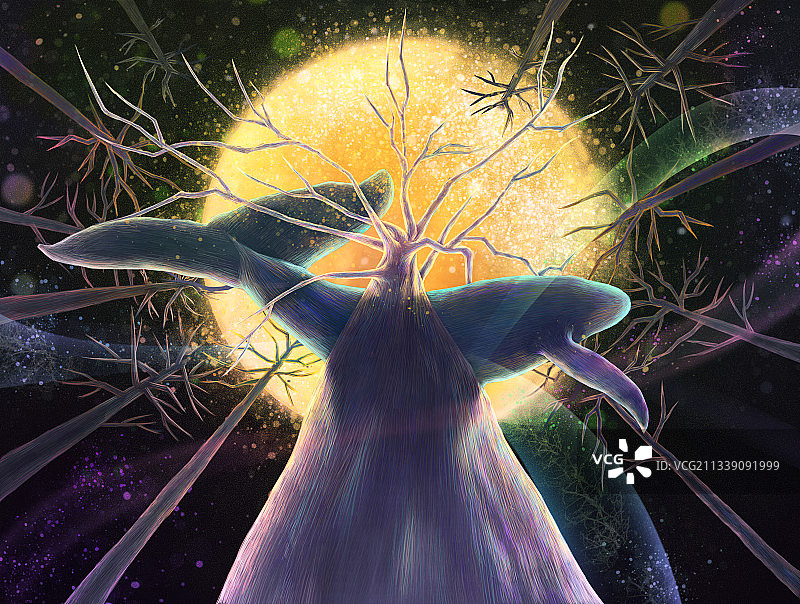 夜晚圆月下树木生长鲸鱼插画治愈横版图片素材