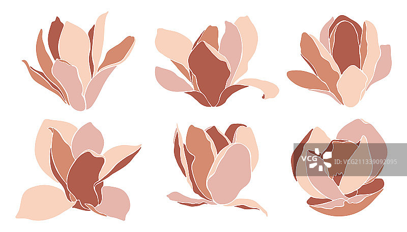 极简风格的玉兰花图片素材