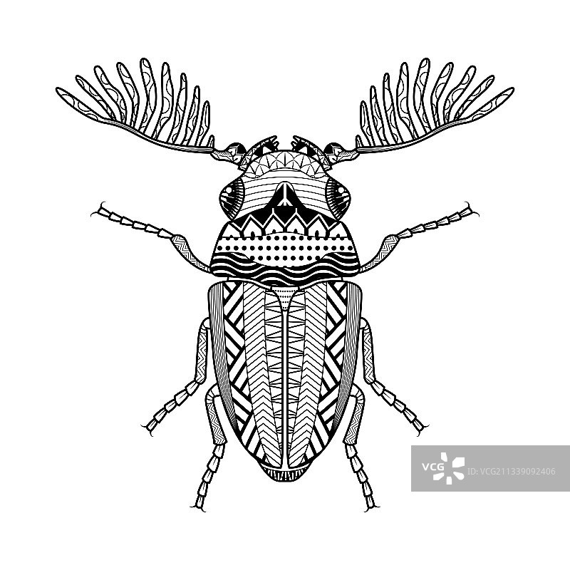 手绘昆虫图片素材