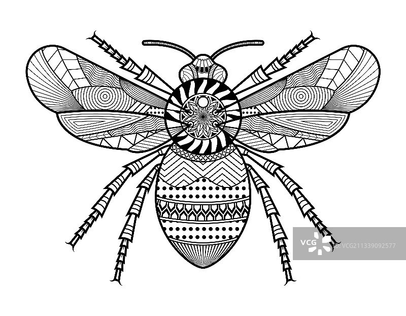 手绘甲虫图片素材