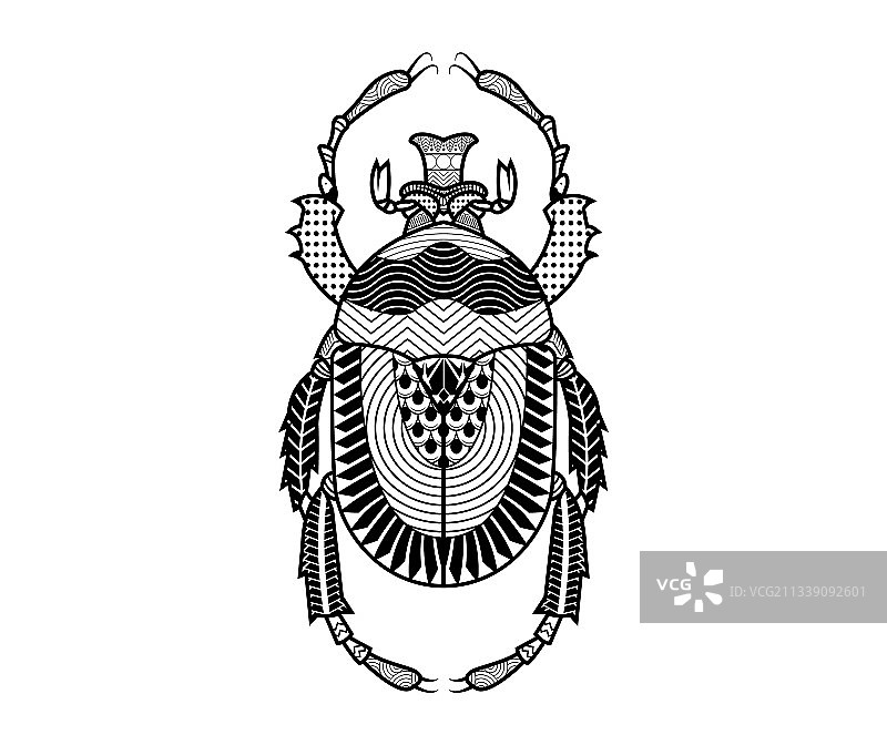 手绘甲虫图片素材