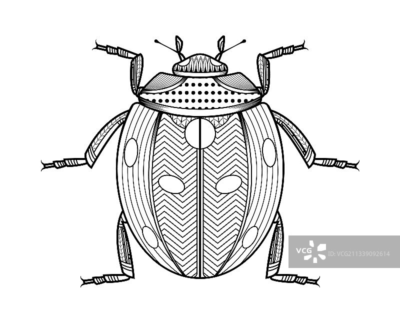 手绘昆虫图片素材