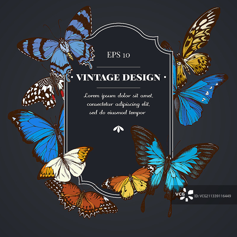 带有蓝色梦幻红翅的深色徽章设计图片素材