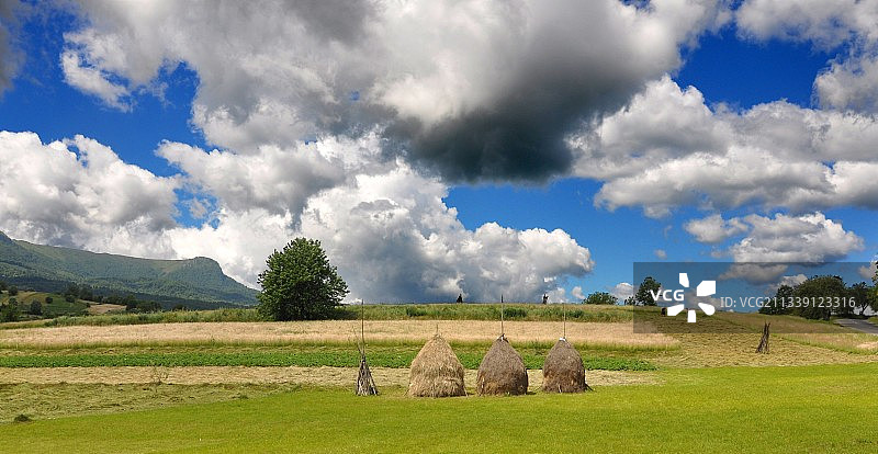 田野全景图片素材