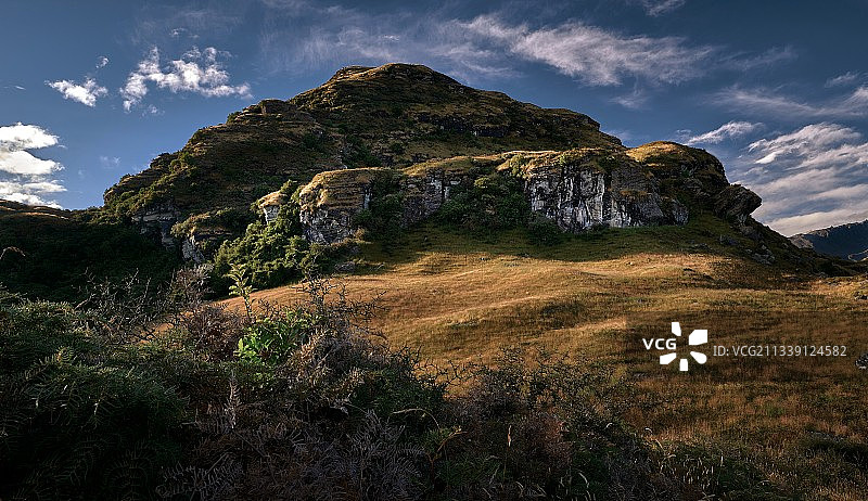 瓦纳卡岩层仰视景观，新西兰图片素材