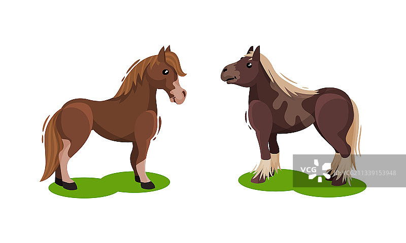 在绿色田野上吃草的马合集图片素材