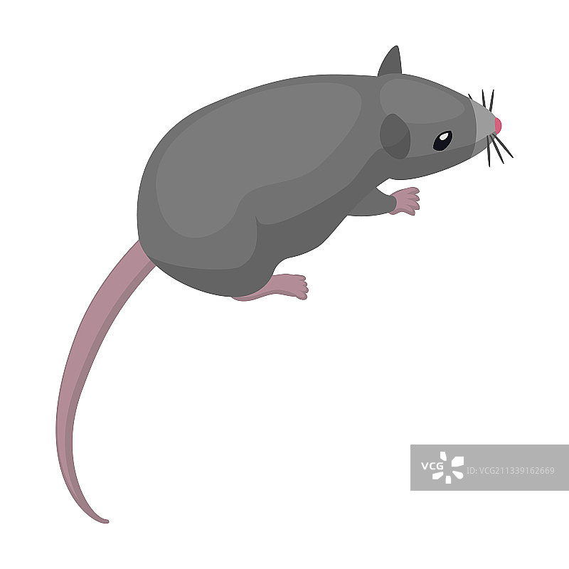 卡通老鼠图标图片素材