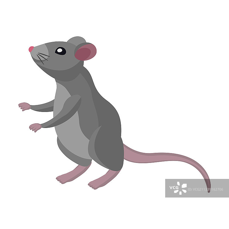 卡通老鼠图标图片素材