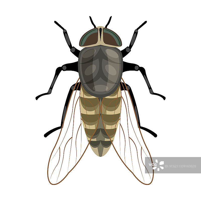 卡通寄生虫图标图片素材