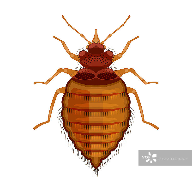 卡通寄生虫图标图片素材