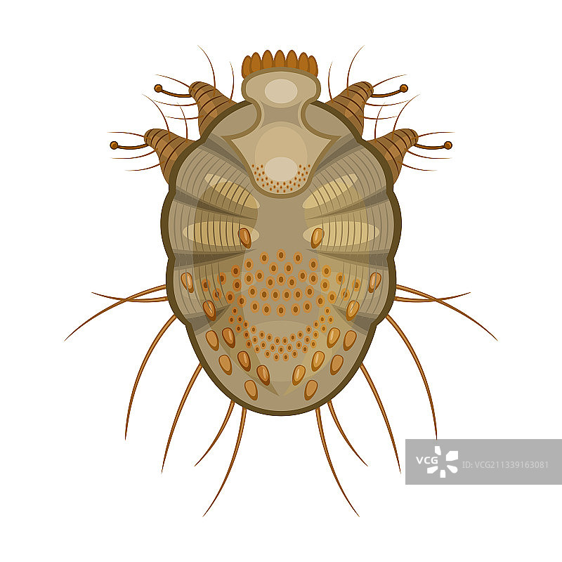卡通寄生虫图标图片素材
