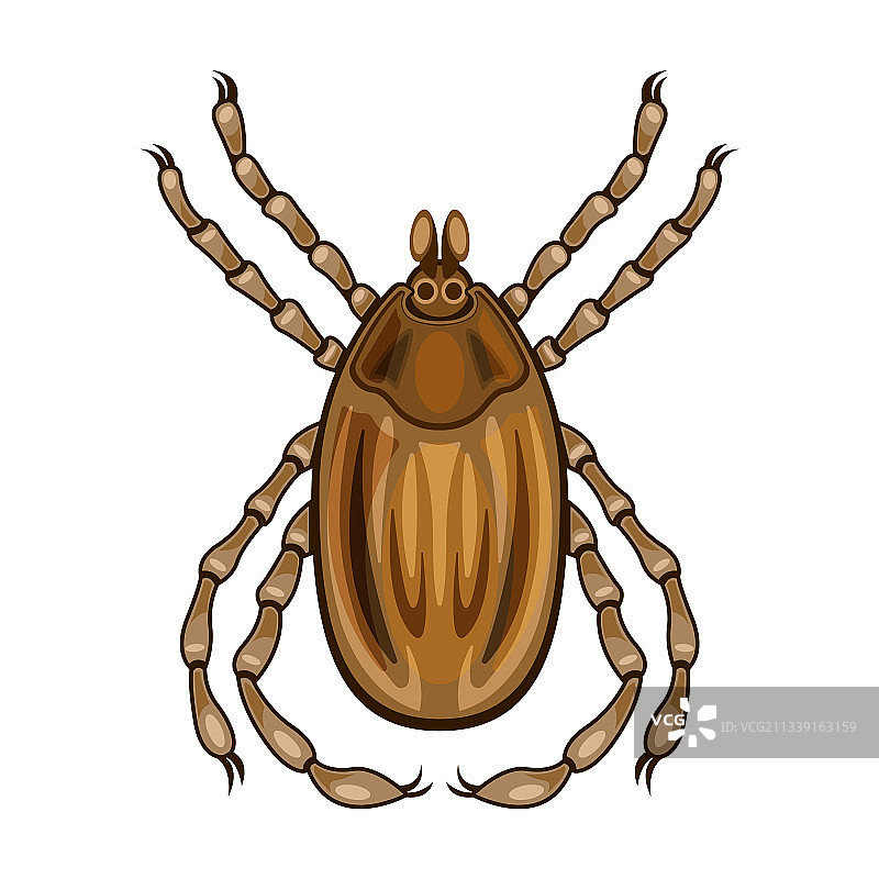 卡通寄生虫图标图片素材