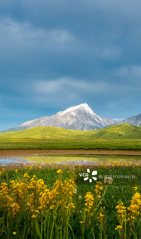 四川理塘格聂神山夏季雪山草原自然风光图片素材