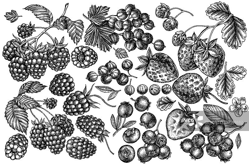 手绘黑白图案合集图片素材