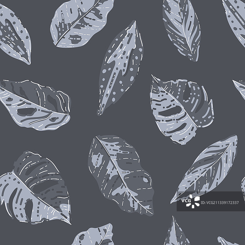 抽象热带杂色树叶图片素材