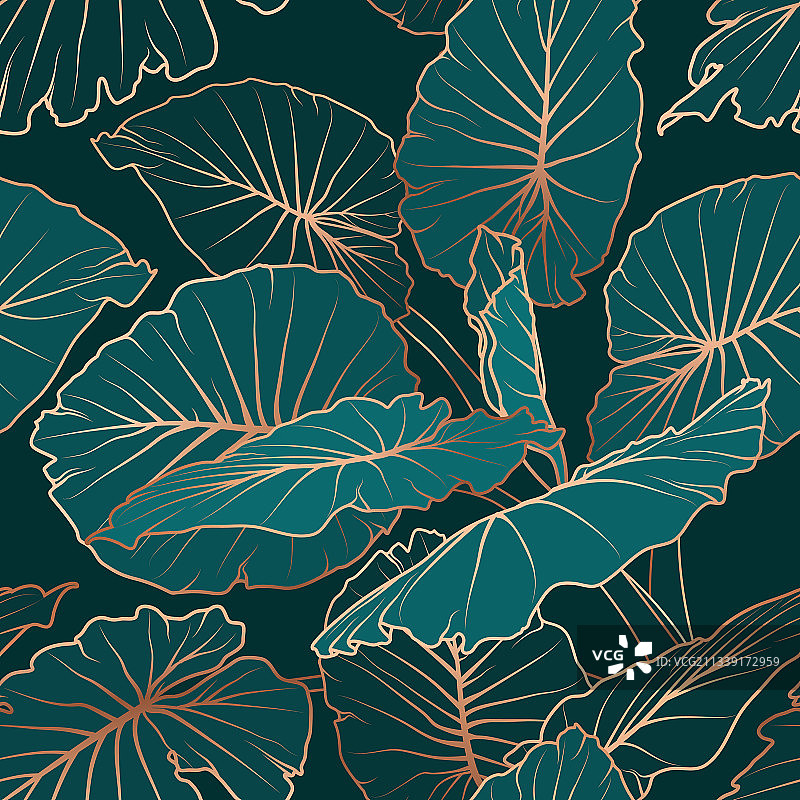 城市丛林：绿叶观音莲图片素材