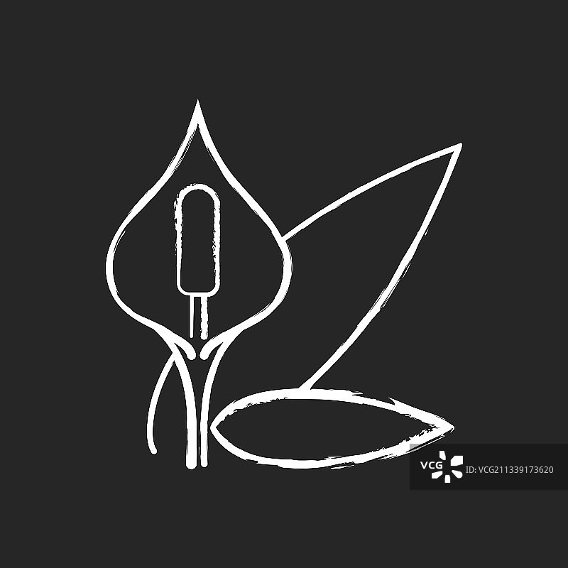 黑底白色的白掌花图标图片素材
