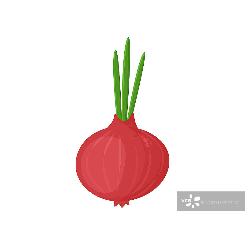 农场蔬菜洋葱图片素材
