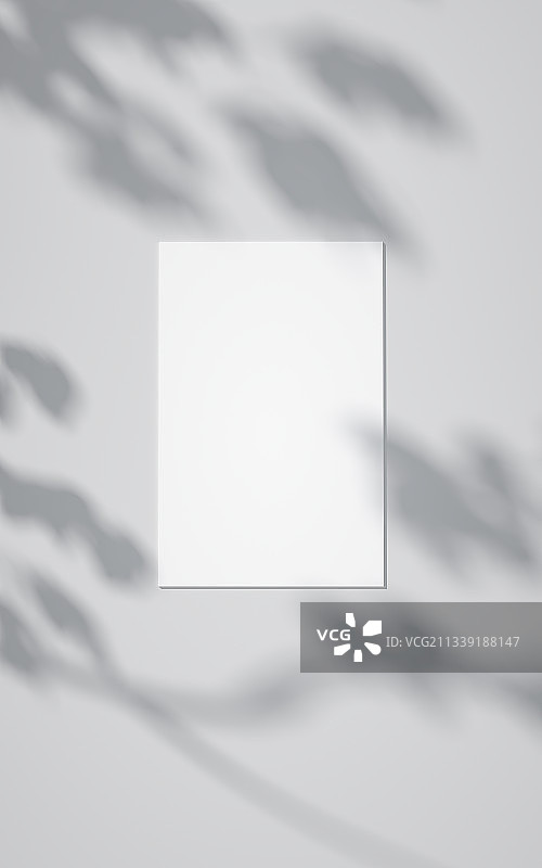 白色壁画背景设计样机图片素材