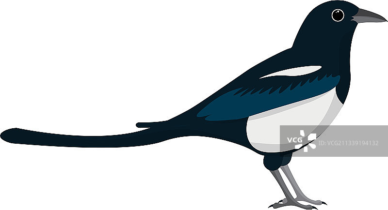 卡通喜鹊图片素材