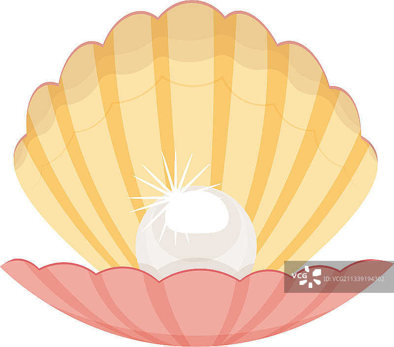 白色背景中隔离的贝壳珍珠图片素材