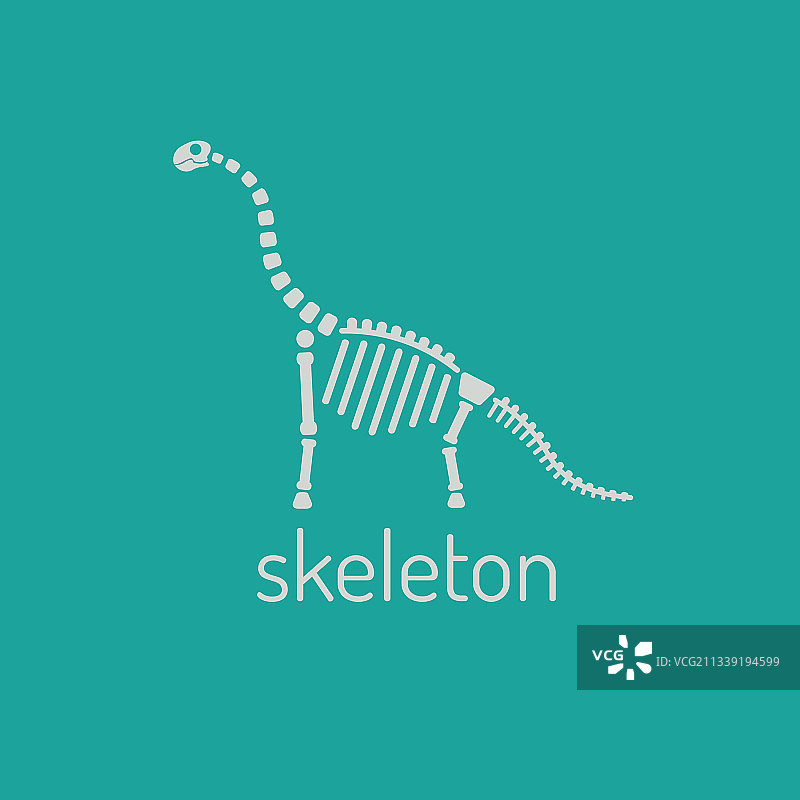蜥脚类恐龙骨骼图像图片素材