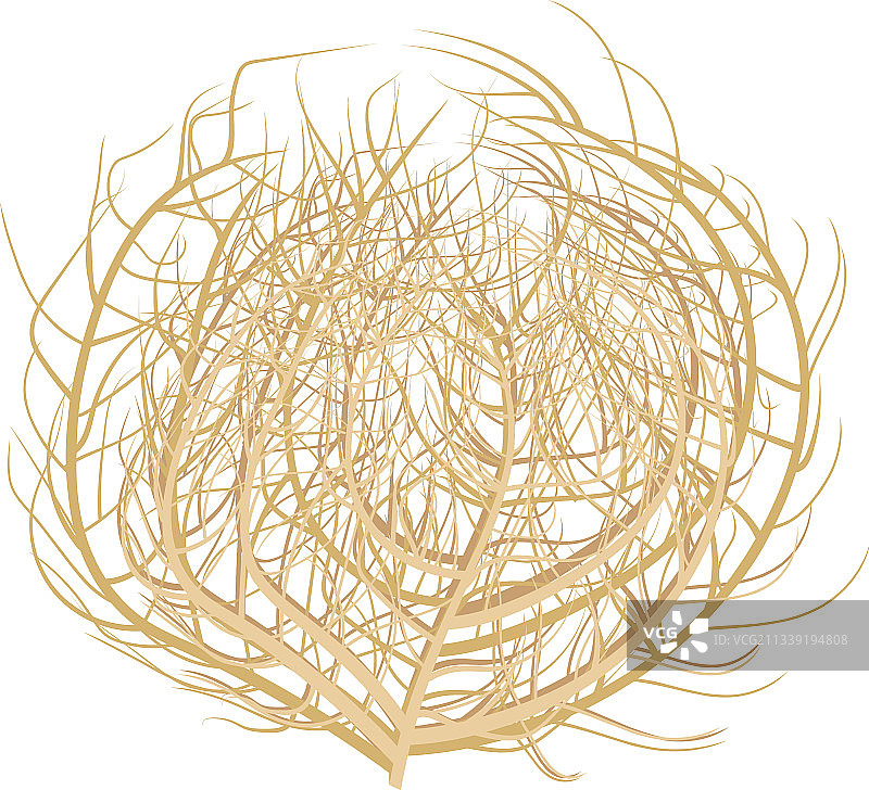 风滚草图片素材