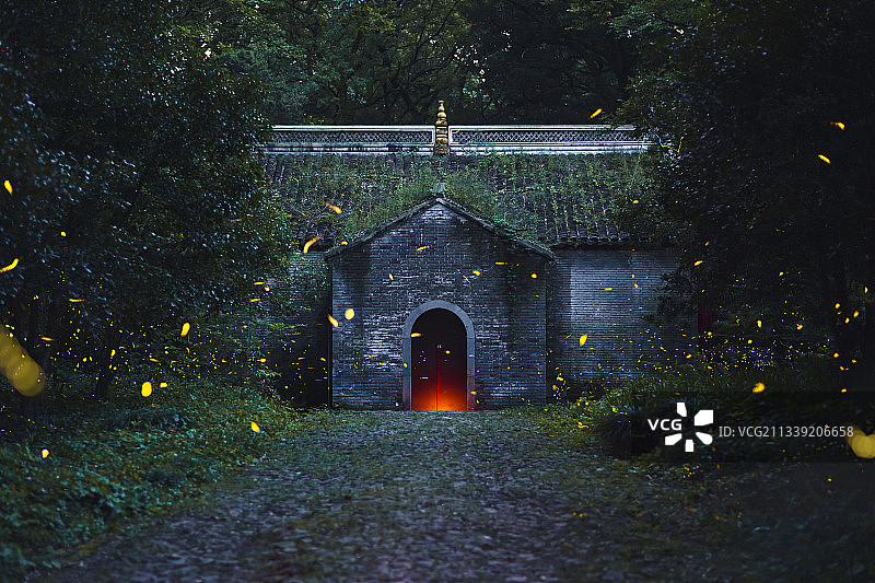 志公殿的萤火虫图片素材