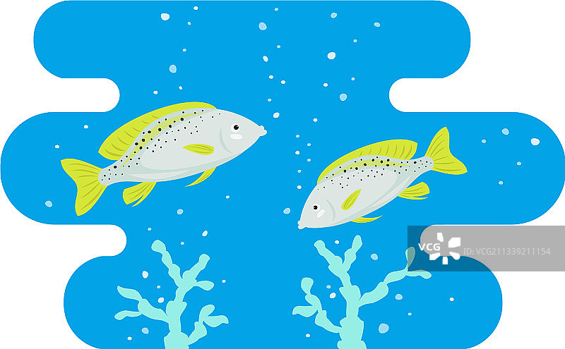 蓝色背景上的卡通鱼图标图片素材