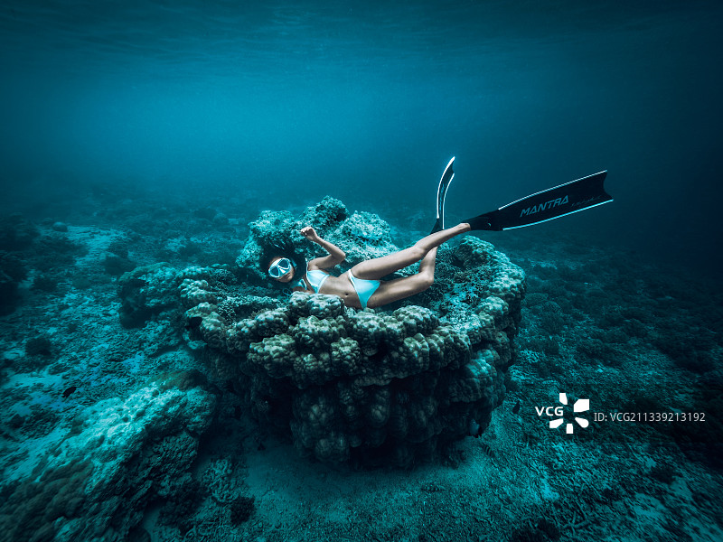 珊瑚沙发图片素材