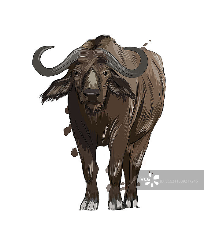 水彩飞溅效果的野牛图片素材