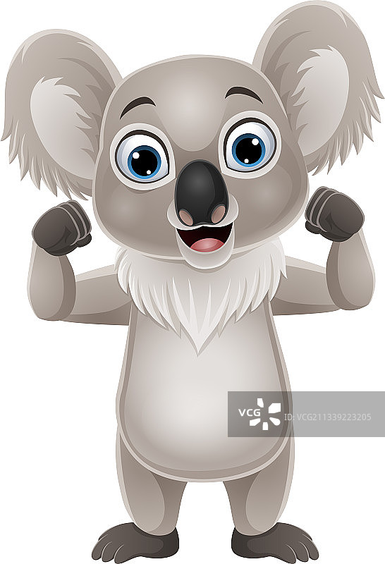 白色背景上的强壮卡通考拉图片素材