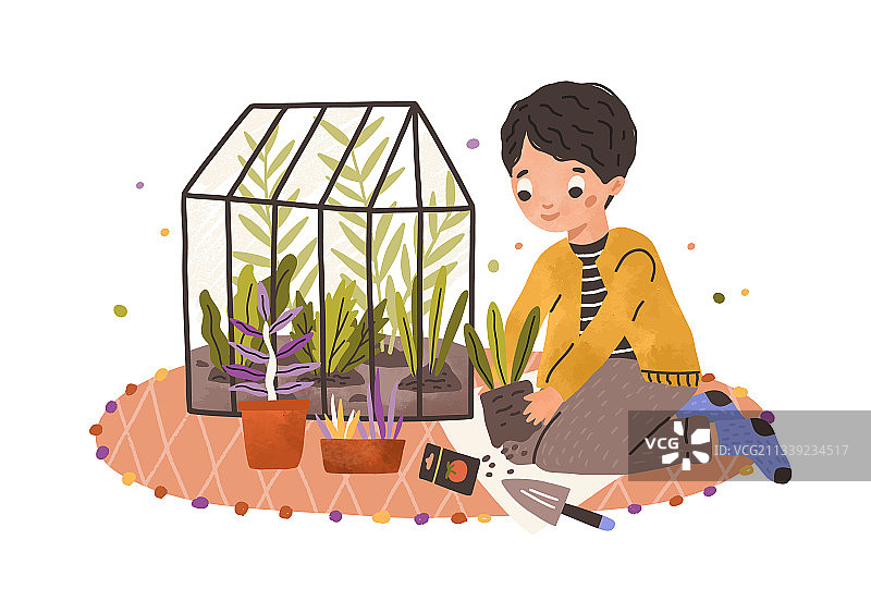 男孩在花盆里种植绿色植物并进行照料图片素材