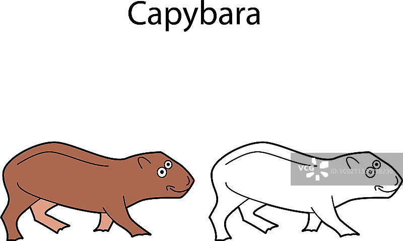 白色背景下的滑稽可爱水豚图片素材