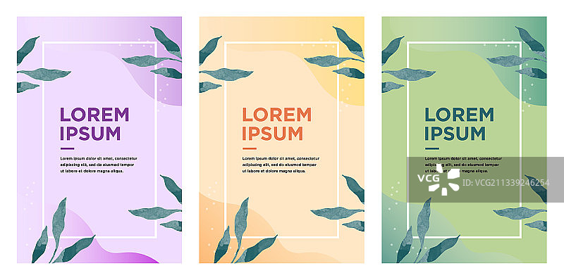 社交媒体帖子设计模板套装图片素材