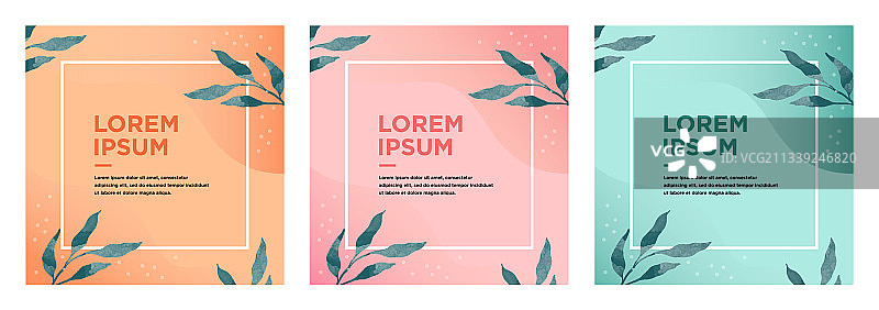 社交媒体帖子设计模板套装图片素材