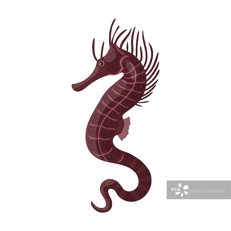 海马卡通图标图片素材