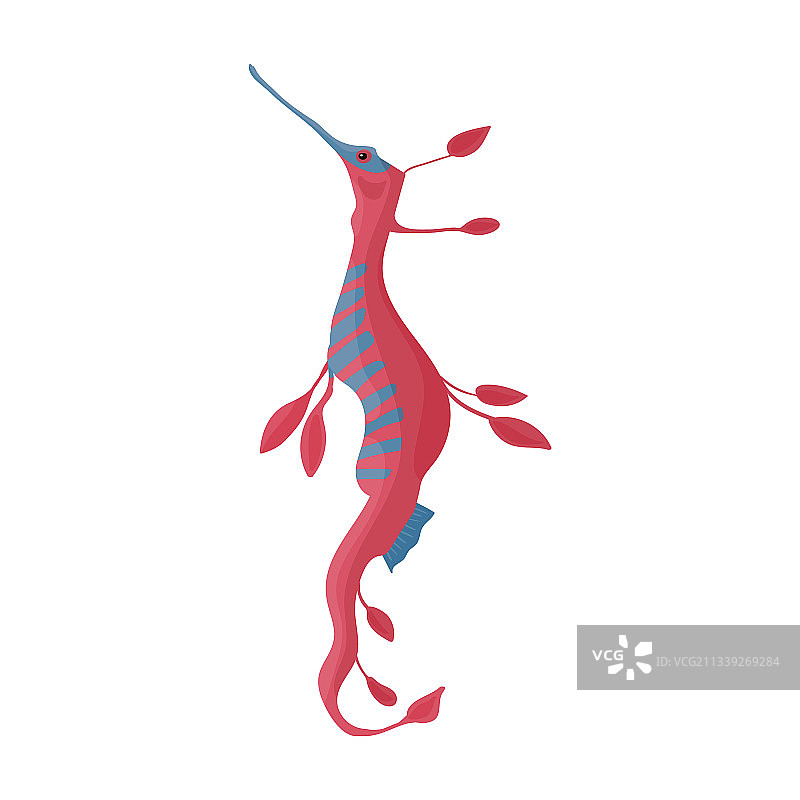 海马卡通图标图片素材