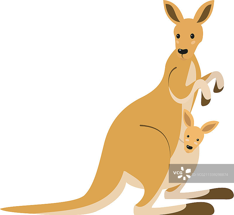 白色背景上的可爱袋鼠图片素材