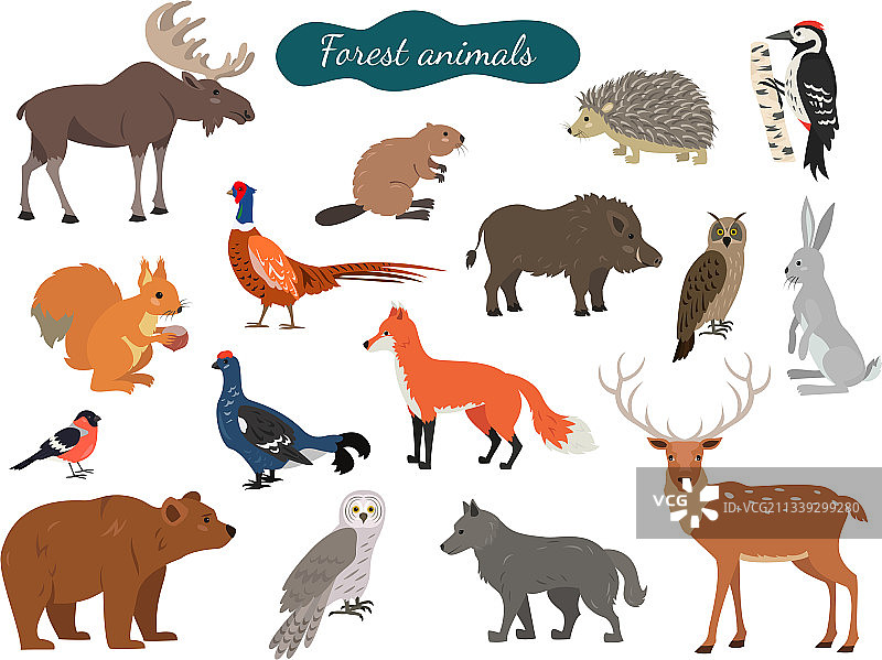 白色背景上的森林动物套装图片素材