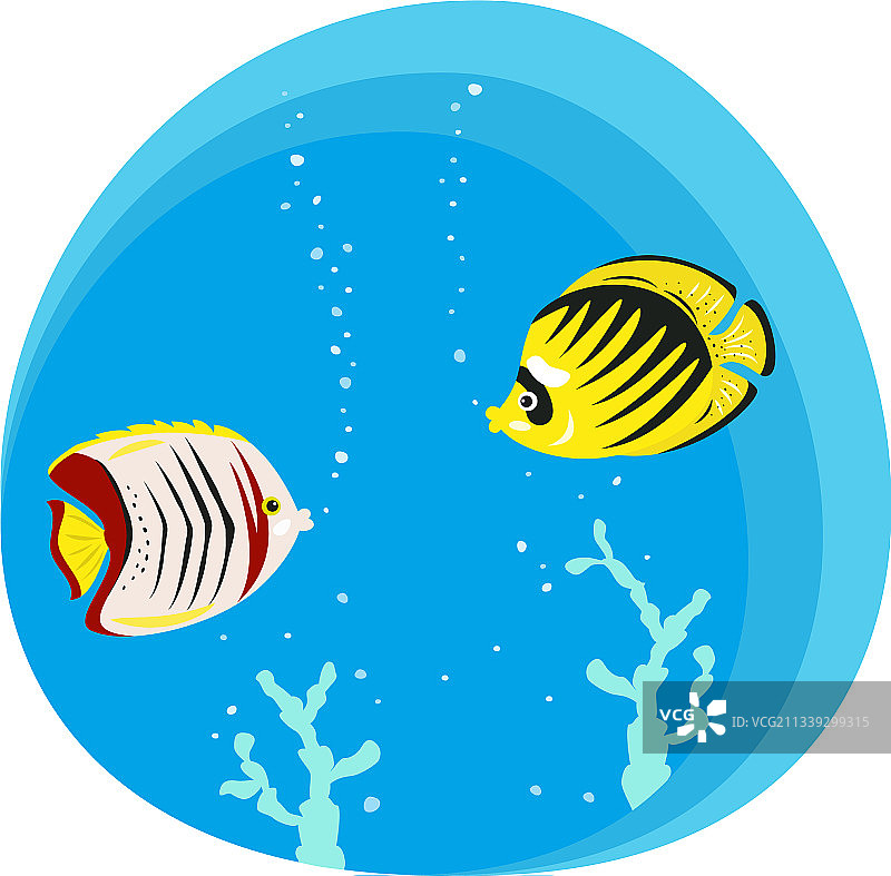 蓝色背景上的热带蝴蝶鱼图片素材