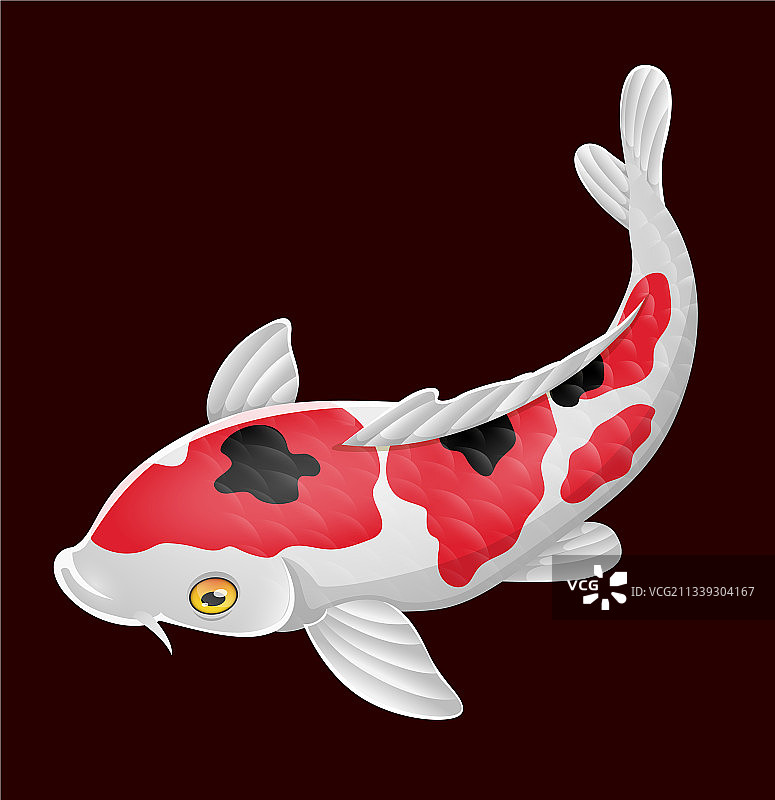 红色背景上的卡通可爱锦鲤图片素材